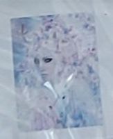 Diamond Painting 40x50cm