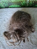 Ältere Puppenperücke, braun