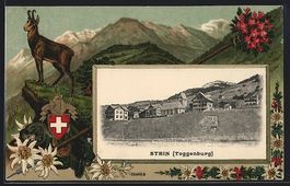 Stein /Toggenburg, Ortspartie im Passepa