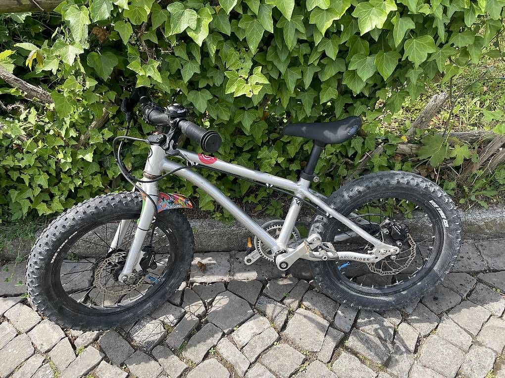 Biciclette: Early Rider 16 Zoll – Usato da Unterengstringen venduto da Daniela2A 1