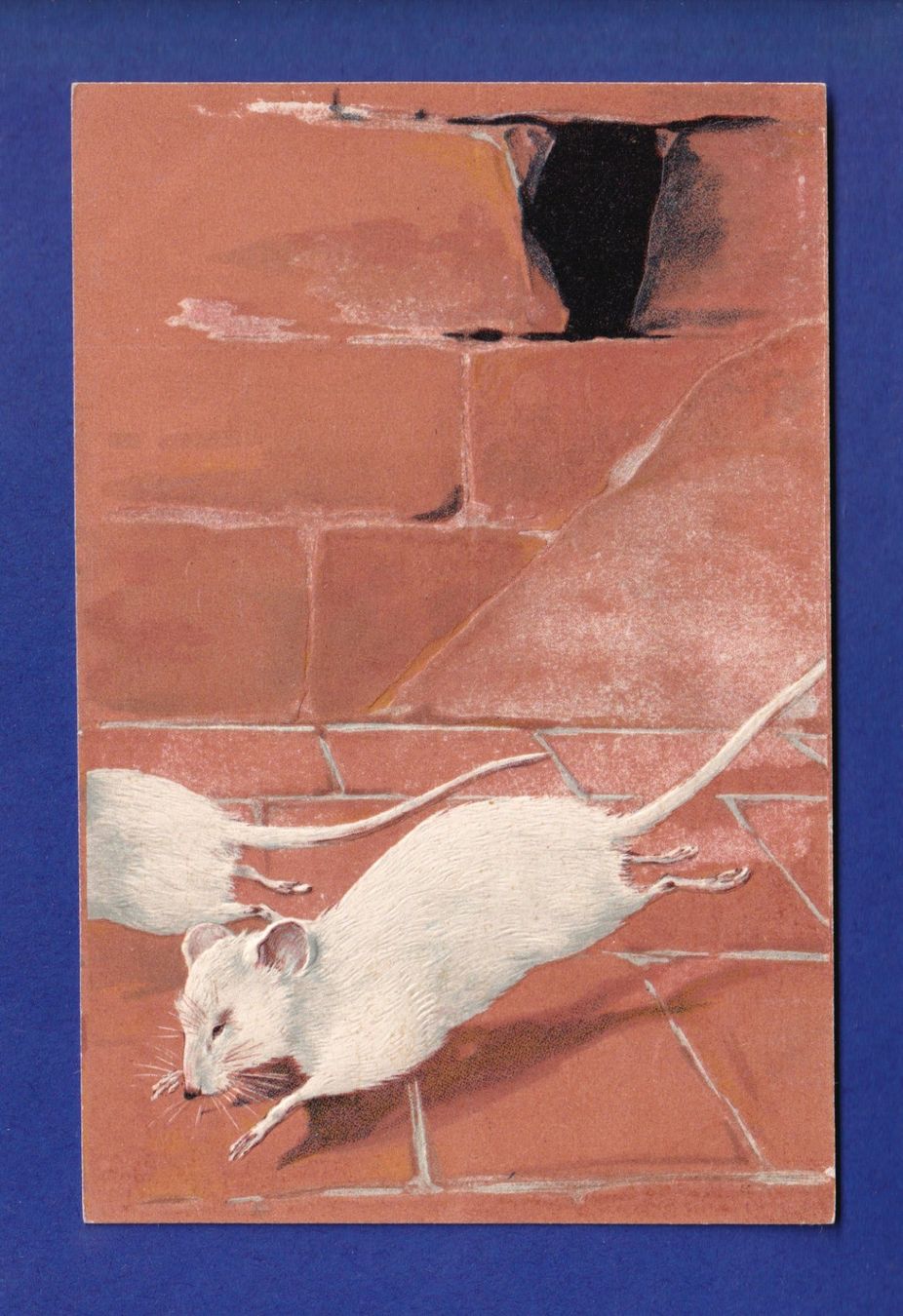 Cartoline postali: SOURIS - Carte gauffrée – Usato da Pully venduto da nicecards-shop