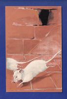 SOURIS - Carte gauffrée