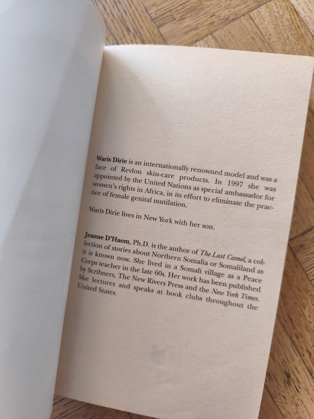 Libri: Desert Dawn by Waris Dirie, good condition, rare book – Usato da Mägenwil venduto da VintageGirly 7