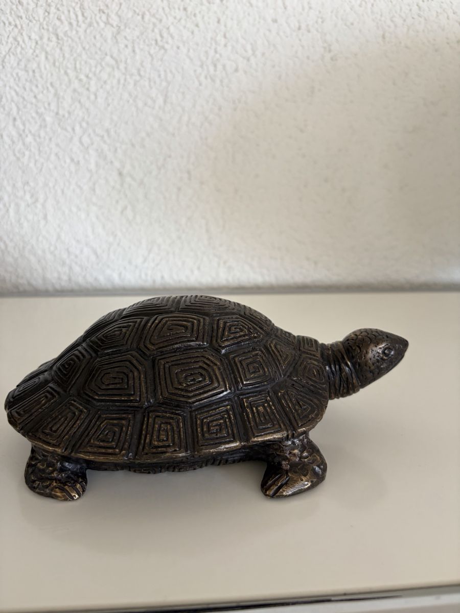 Sculture & Statue: Bronze, Schildkröte detailliert – Nuovo (secondo la descrizione) da Zürich venduto da eileenchen1 1