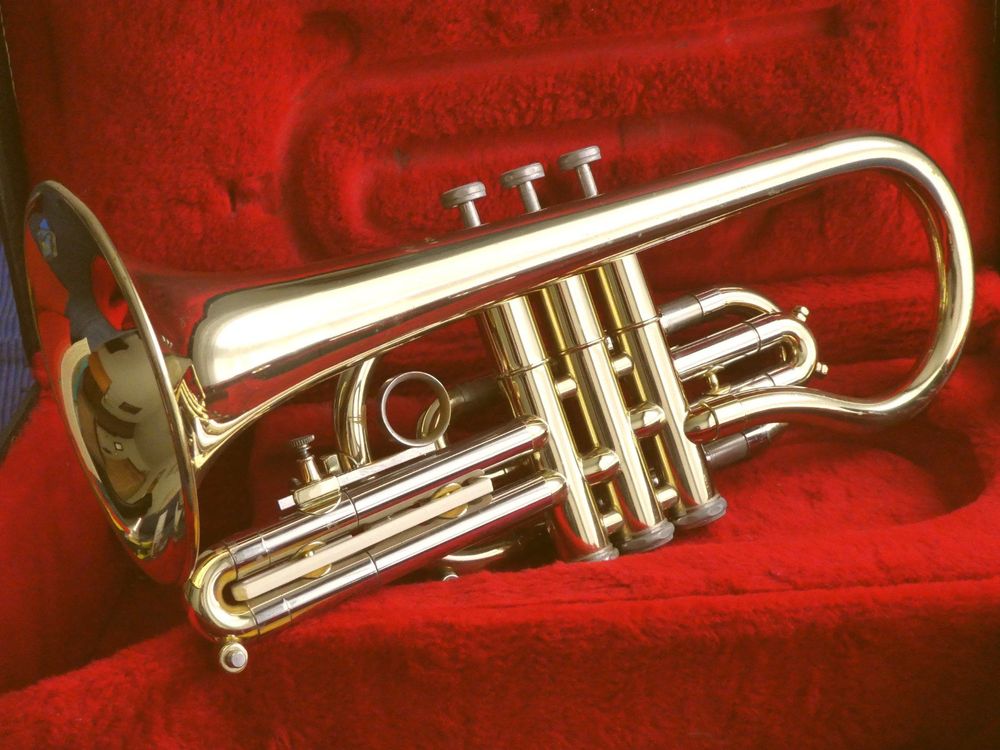 B Getzen Capri inkl. Zubehör und Notenständer Kaufen