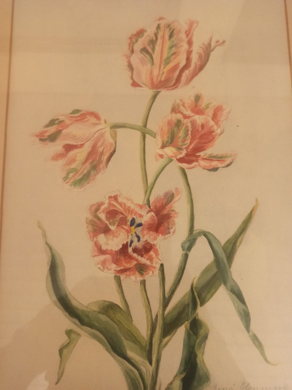 Foto & Immagini: 3 Stück Blumen Bilder – Usato da Dietikon venduto da nala_66 4