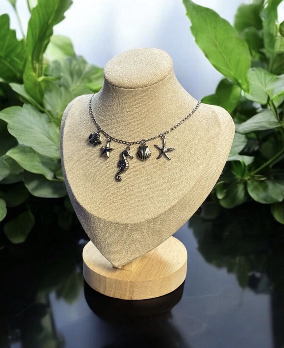 Catenine: Collier en acier inoxydable  – Nuovo e nell'imballaggio originale da Châtel-St-Denis venduto da Montclair_Swiss 2