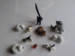 Katzensammlung  10 Stück Setzkasten (Setzkasten 5)(3)