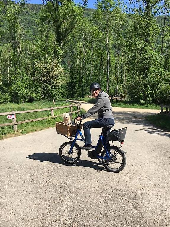 Vélos: Isy E Bike  – D'occasion à Erlach par Dehler0 1
