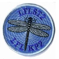  Leichtflieger Staffel LFL ST 2 Abzeichen Patch