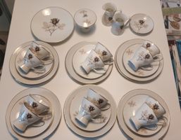 Rosenthal Kaffeeservice Schattenrose