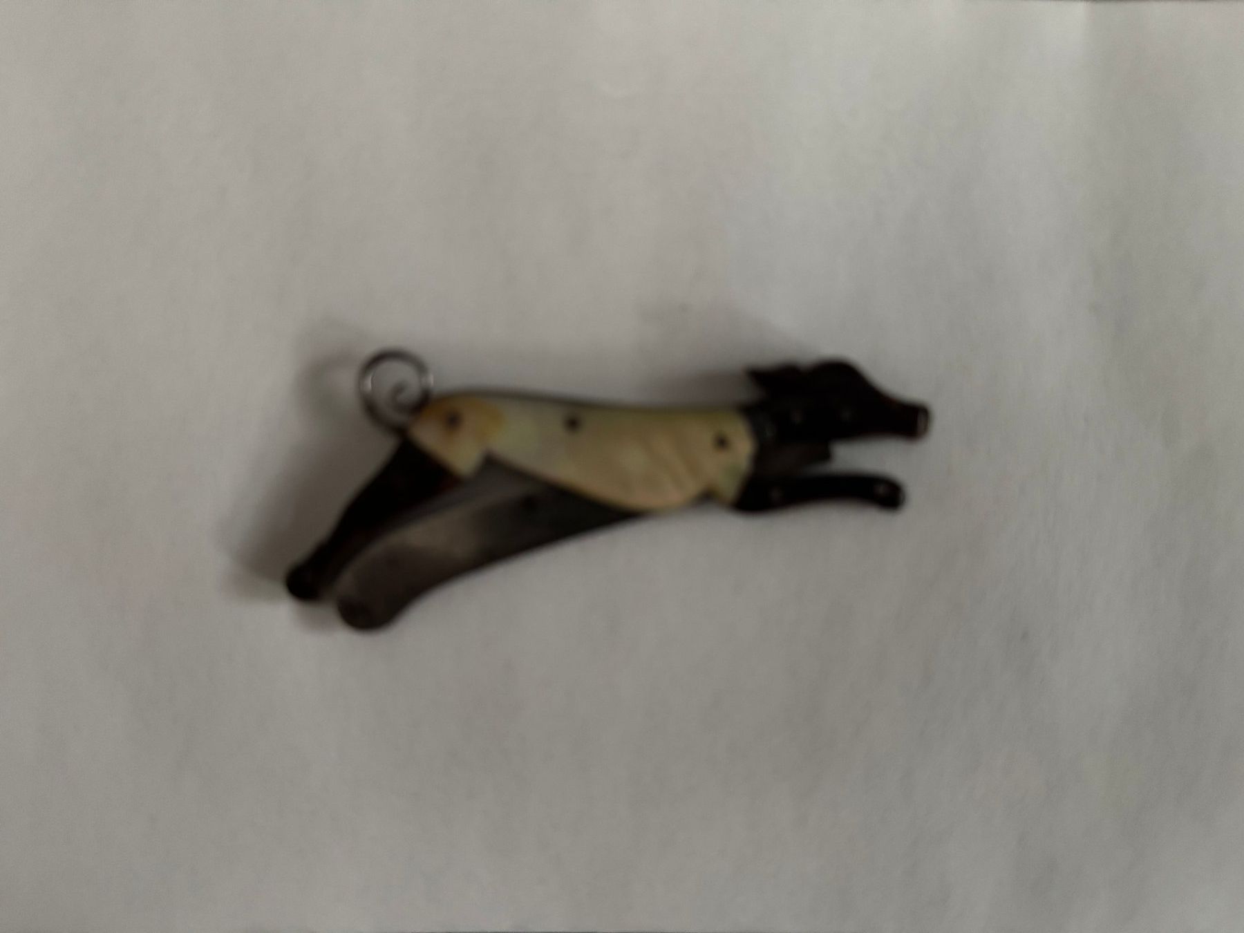Taschenmesser: Petit couteau de poche en forme de chien – Gebraucht aus prilly von yankeu