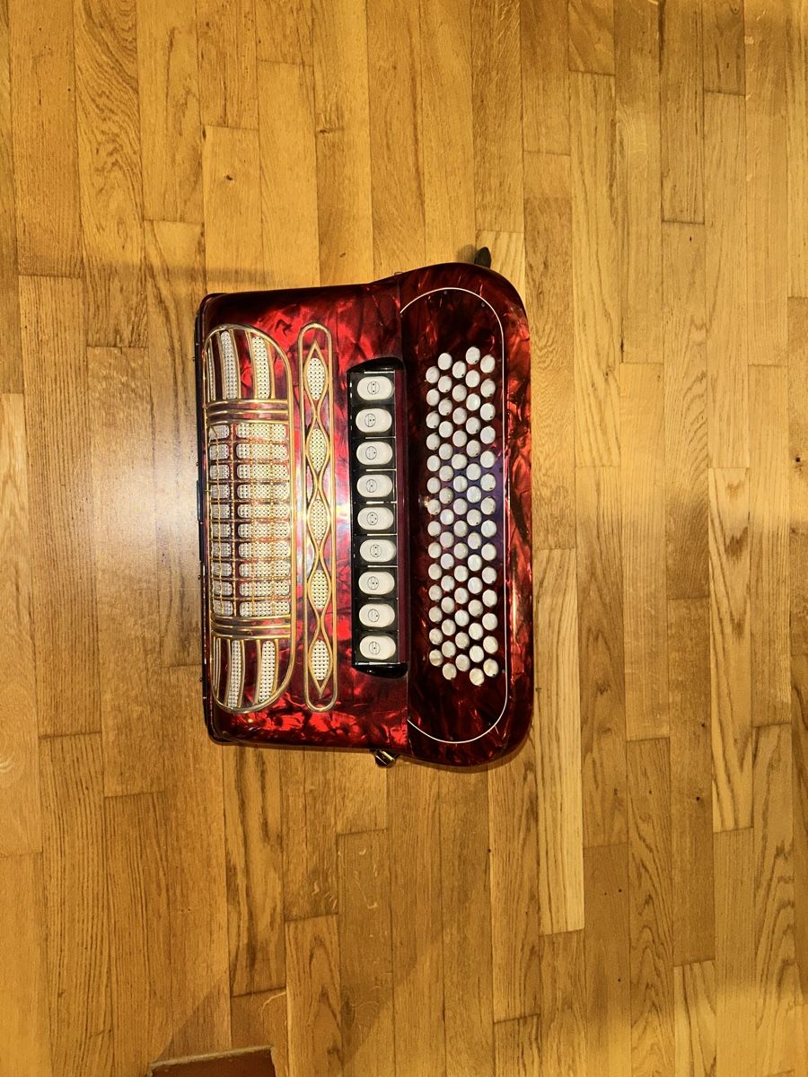 Hohner Strumenti musicali: Hohner-Akkordeon – Usato da Dussnang venduto da pet_fcy5 2