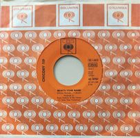 Vinyl Single Chicory Tip - What's Your Name