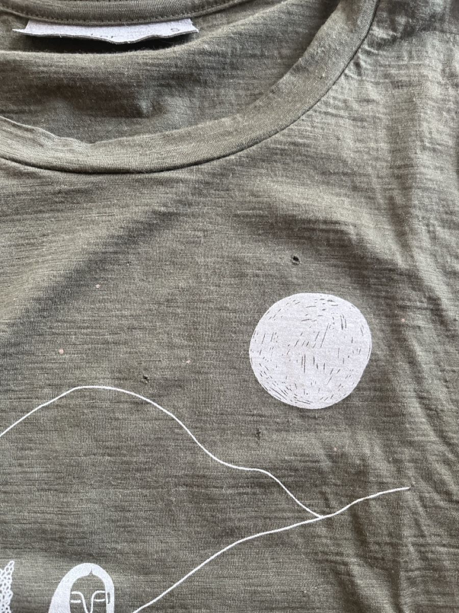 Icebreaker T-shirt: Icebreaker Damen Shirt S – Usato da Bever venduto da MeliTruffel 2