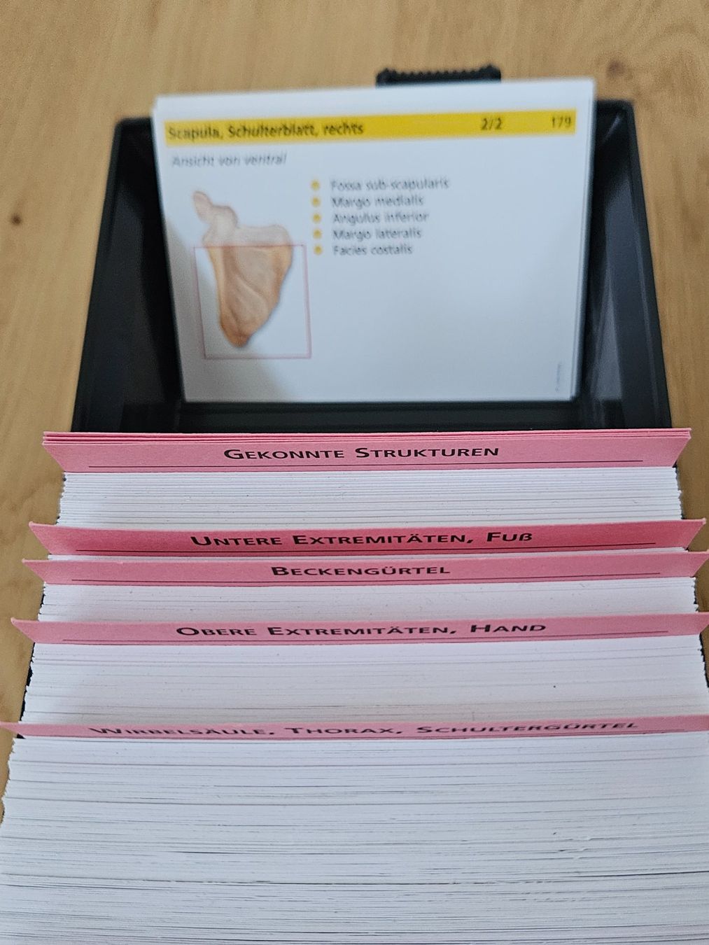 Sonstiger Schulbedarf: Lernkarten Anatomie – Gebraucht aus Ebnat-Kappel von baefzger 2
