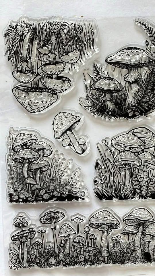 Timbri: Neues Set Motivstempel , Silikonstempel Pilze – Nuovo e nell'imballaggio originale da Effretikon venduto da wenuss 1