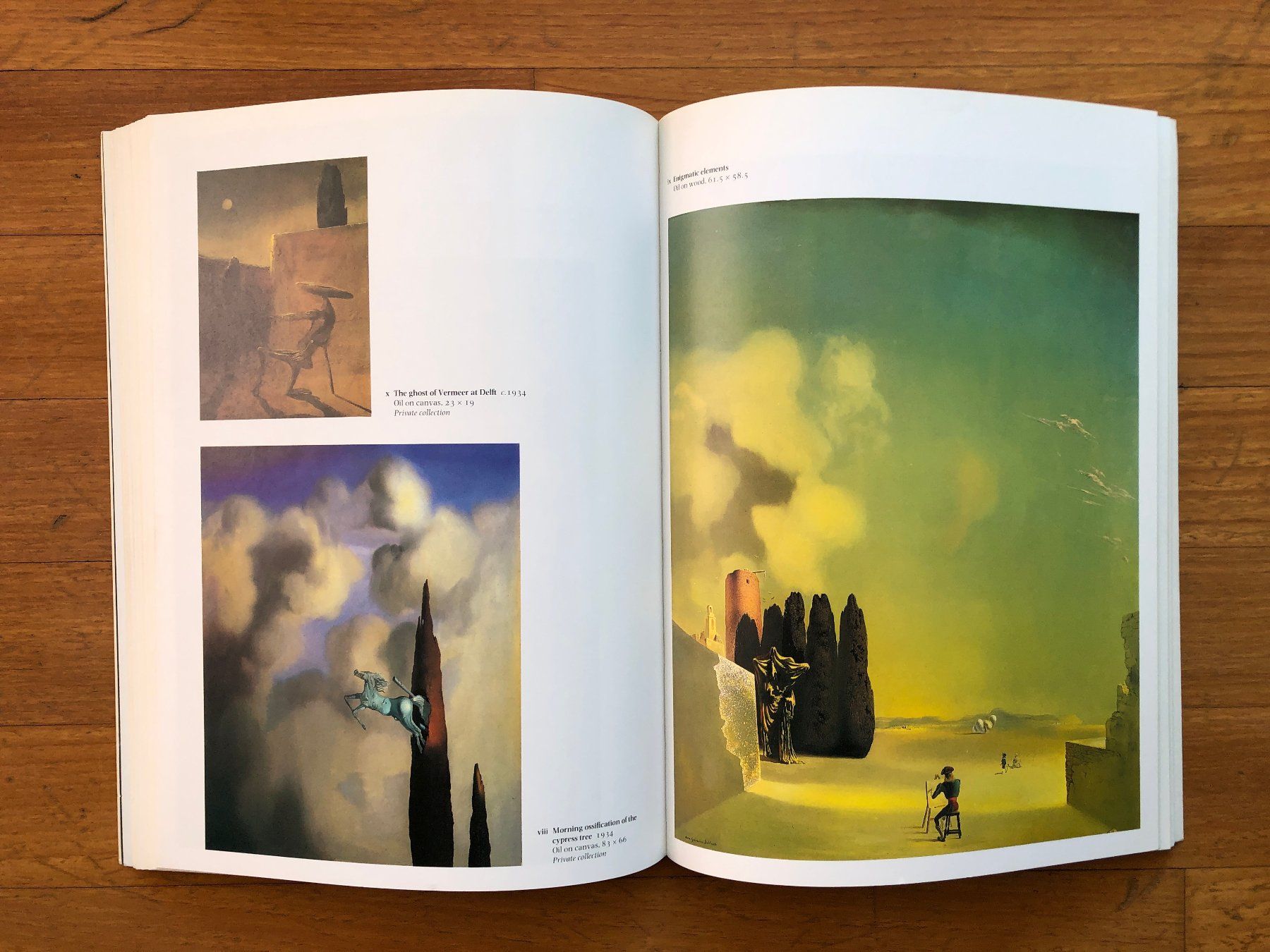 Libri: Kunst Buch: SALVADOR DALI - Tate Gallery – Usato da Lugano venduto da gio.yo 7