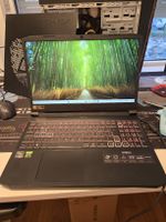 Acer Nitro 5 RTX3070