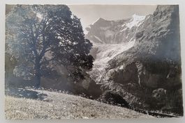 Ansichtskarte Grindelwald, Berg Ahorn, Fiescherhorn