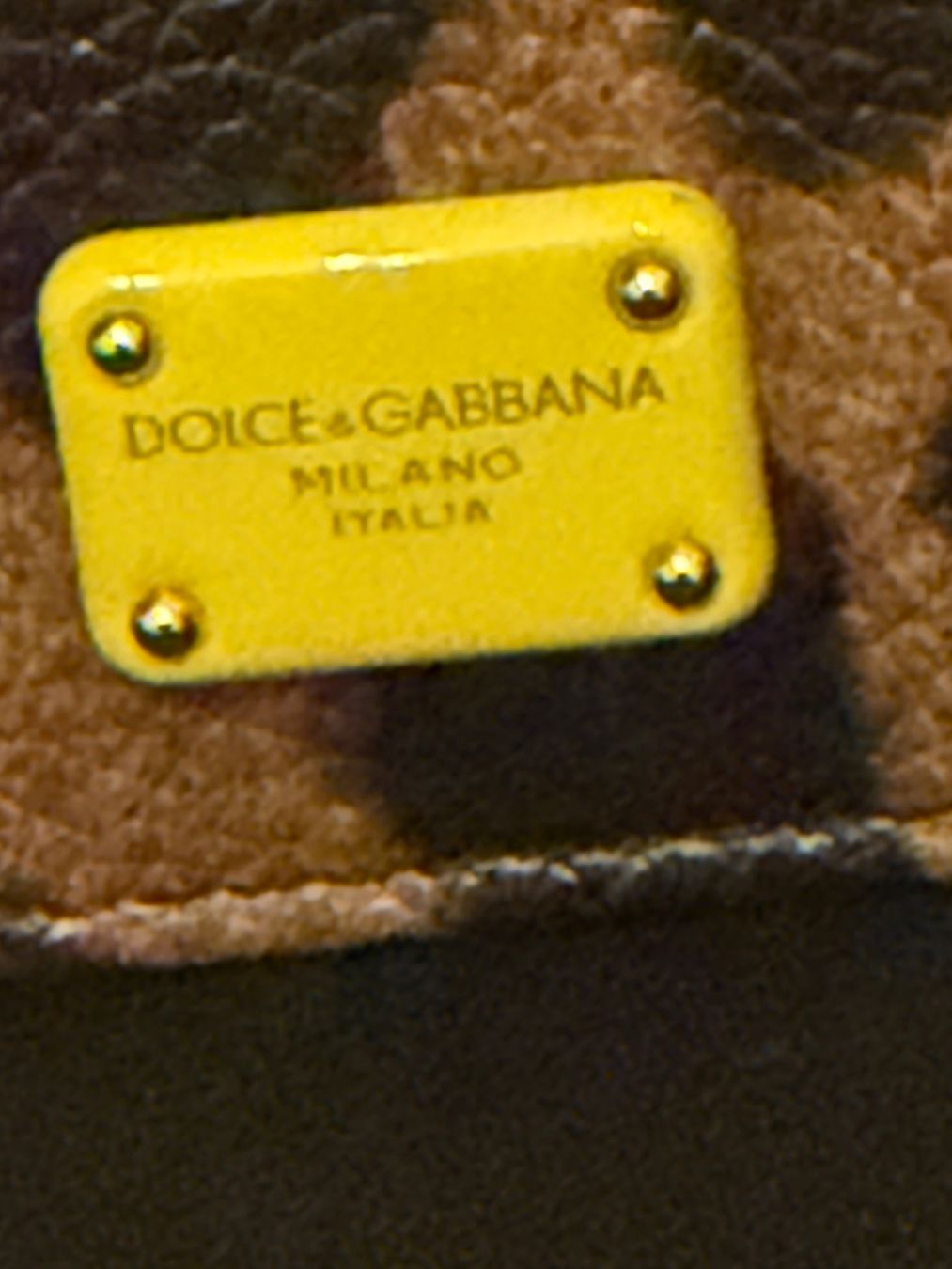 Dolce & Gabbana Altro in  Abbigliamento & Accessori: Neue Dolce & Gabbana Kartenetui Leo Print – Nuovo (secondo la descrizione) da Basel venduto da Blausara707 1
