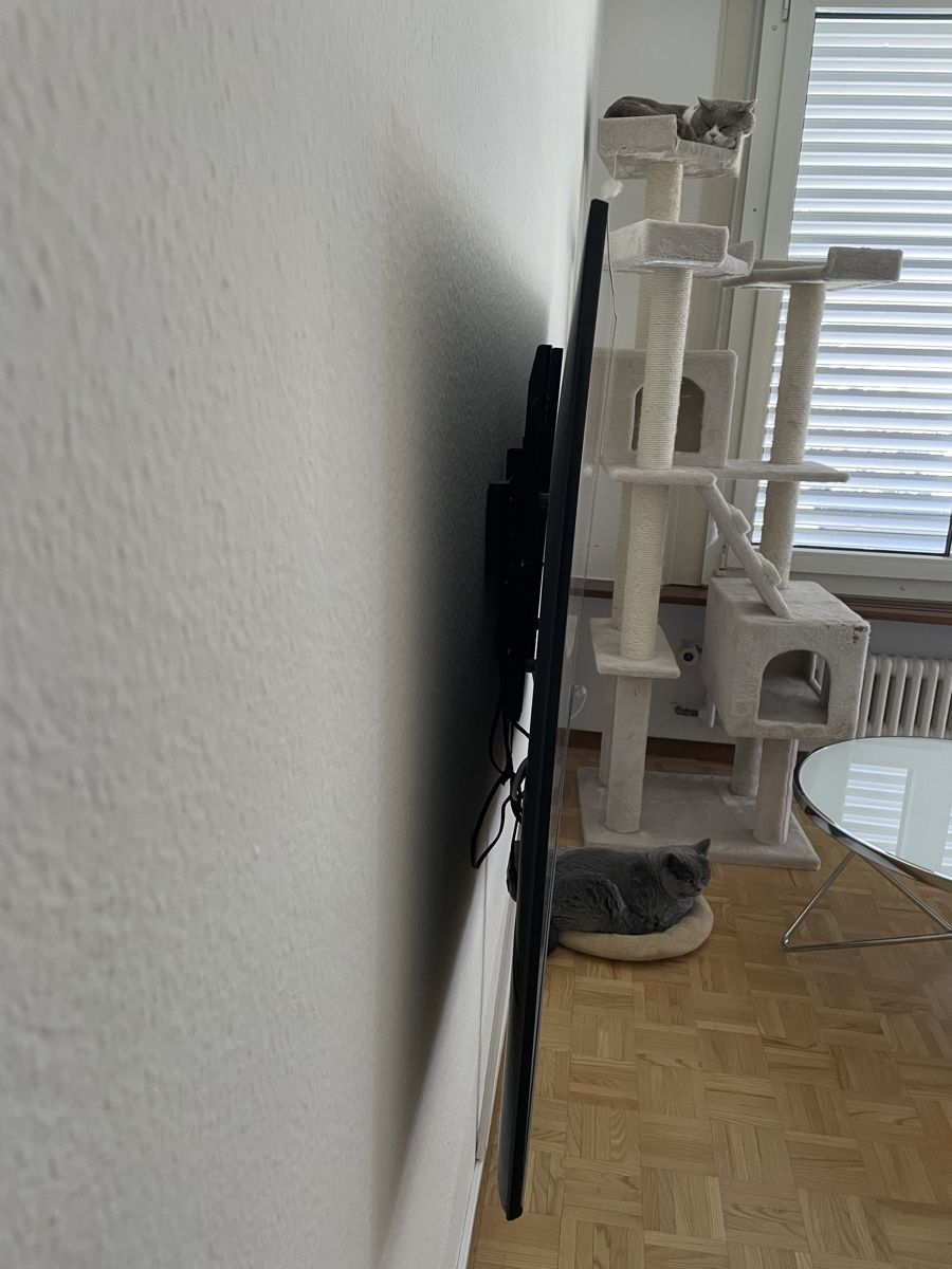 Televisori: TV Samsung QLED 55 Zoll – Nuovo (secondo la descrizione) da Oensingen venduto da Asran 1