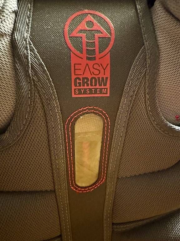 Borse & Zaini: Step by Step Schulrucksack – Usato da Aeschi SO venduto da WHYpayMORE 2