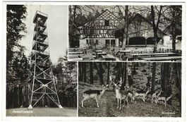 AK Bruderhaus Winterthur Aussichtsturm Wildpark