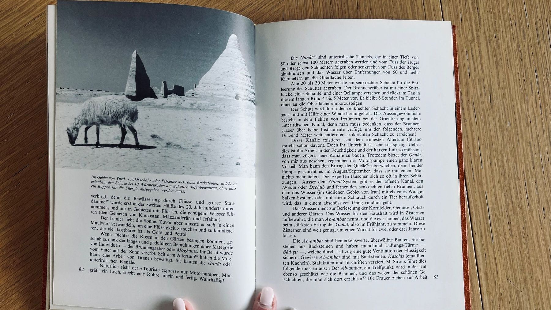 Bücher: Iran - Das Land der Perserteppiche, 1974 – Gebraucht aus Schübelbach von Dolly990_2 5