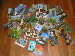 200 Schöne  Blumenkarten