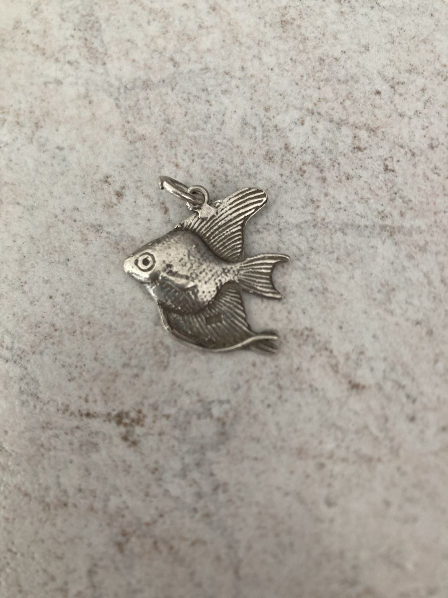Pendentifs: Silberfisch – D'occasion à Thun par Stockhorn2190