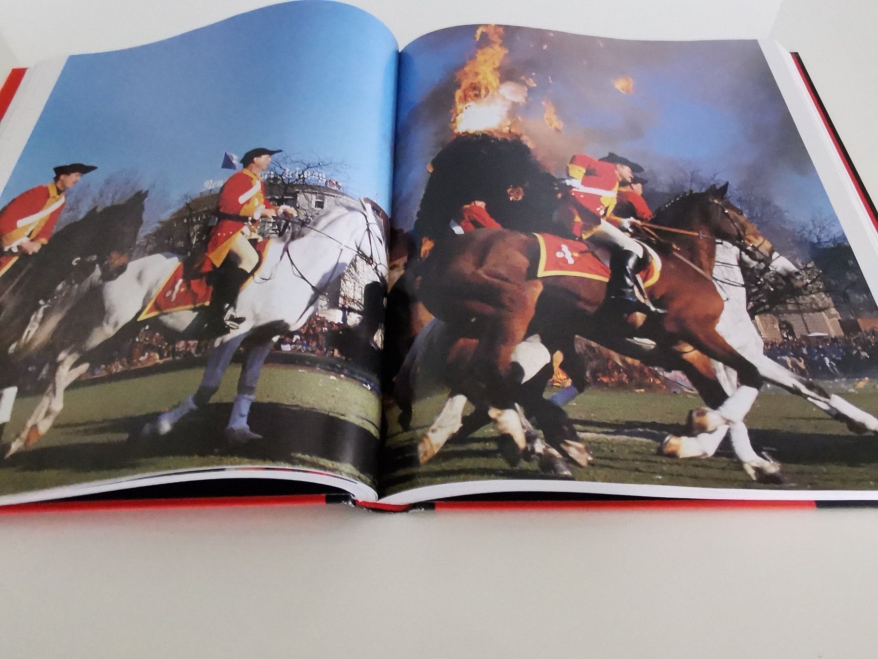 Libri: Feste im Alpenraum – Usato da Richterswil venduto da Milan777 2