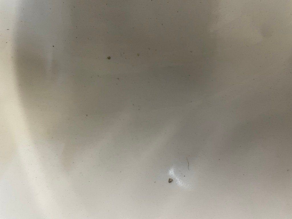 Lavabi & lavandini: Lavabo antik – Usato da Wangen b. Olten venduto da Vollenwei1 4