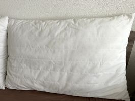 2x Ikea Kopfkissen Nejlika + Kissenschöner Luddros 100x65 cm