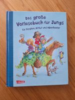 Das grosse Vorlesebuch für Jungs - Abenteuergeschichten!