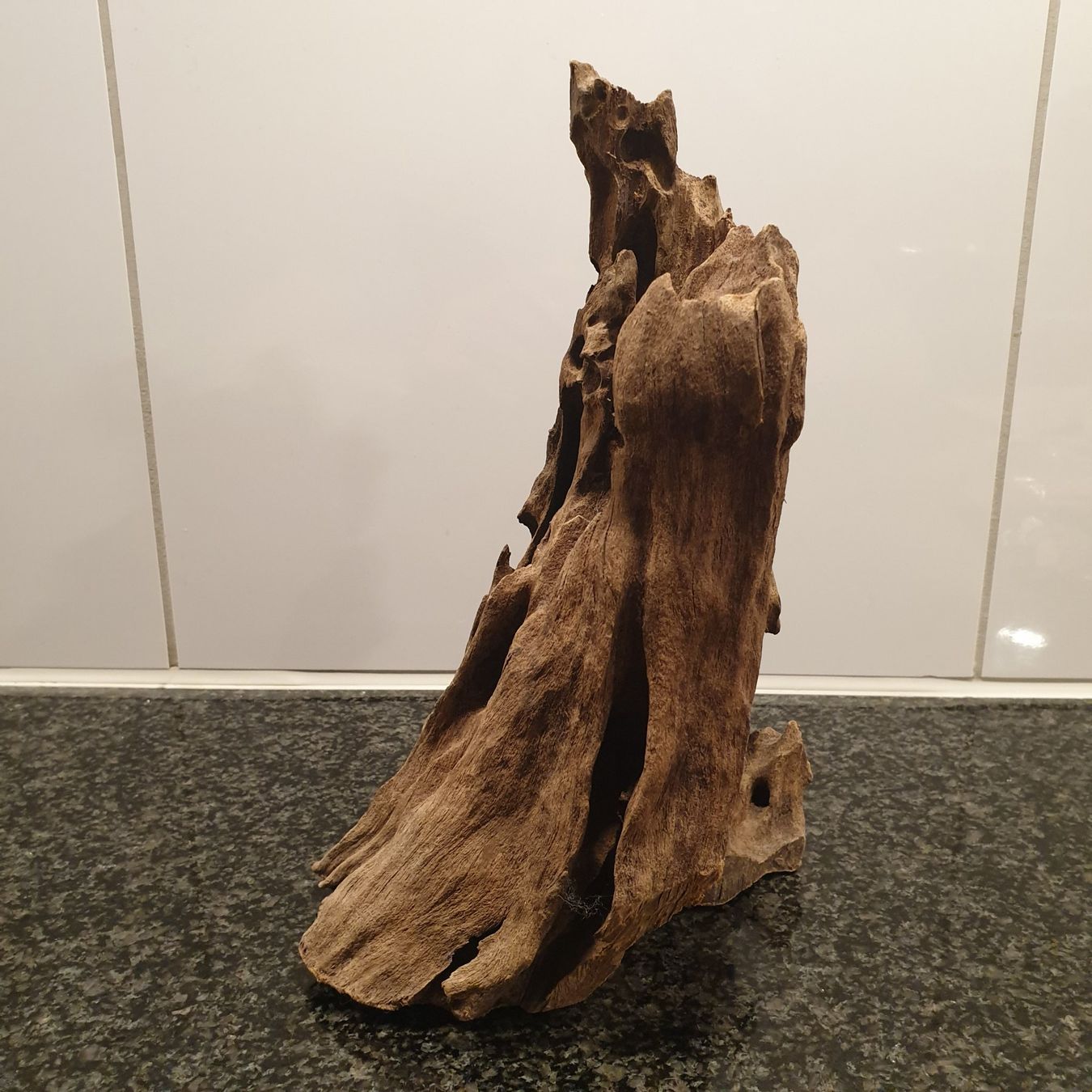 Articles en bois: Holzwurzel Aquarium- / Terrariendeko, 21x13cm, 819g – D'occasion à Neuendorf par DeSiriA 2