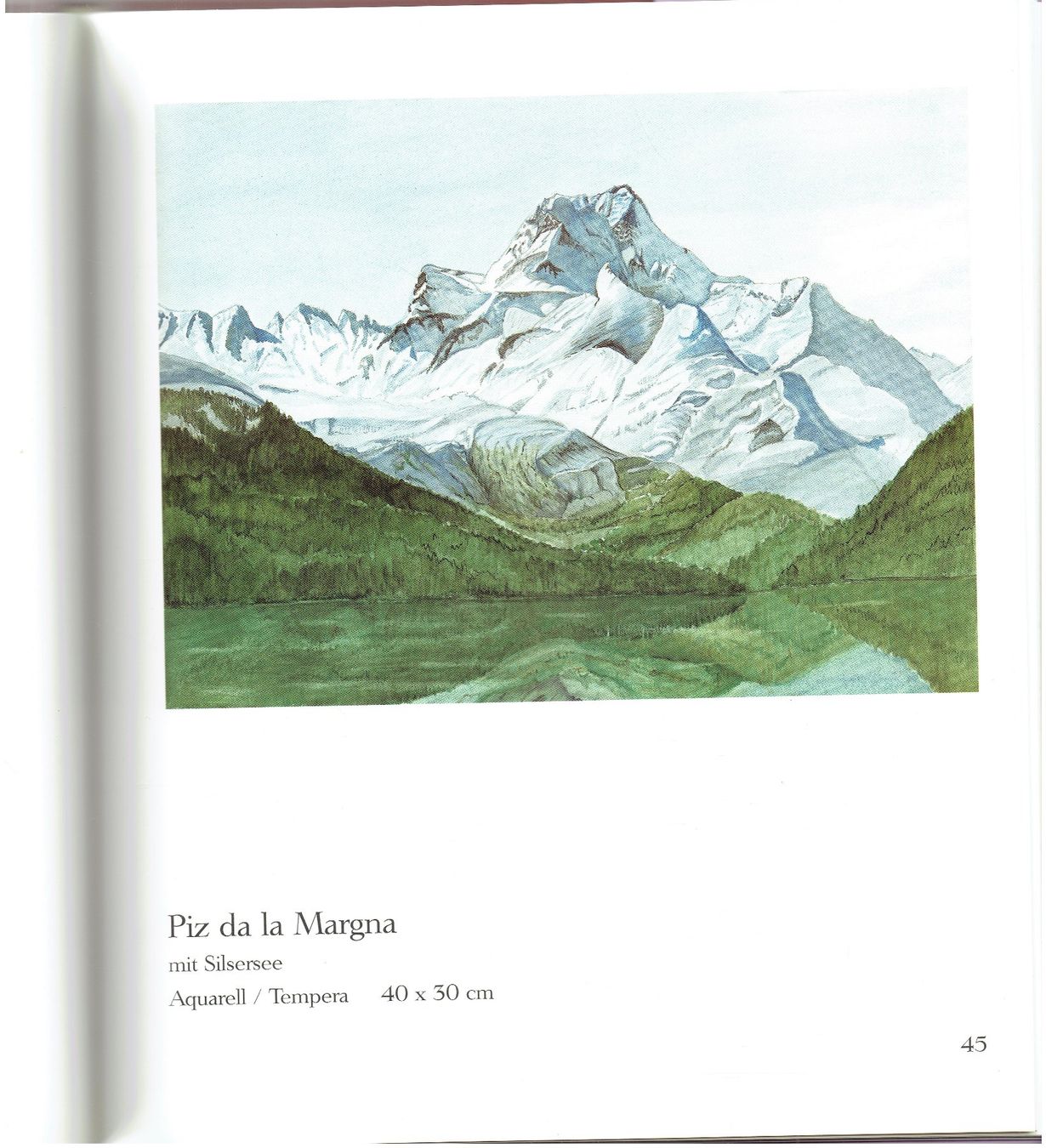 Bücher: Den Bergen und der Flora zugetan – Gebraucht aus Flims - Dorf von Stagediver 5