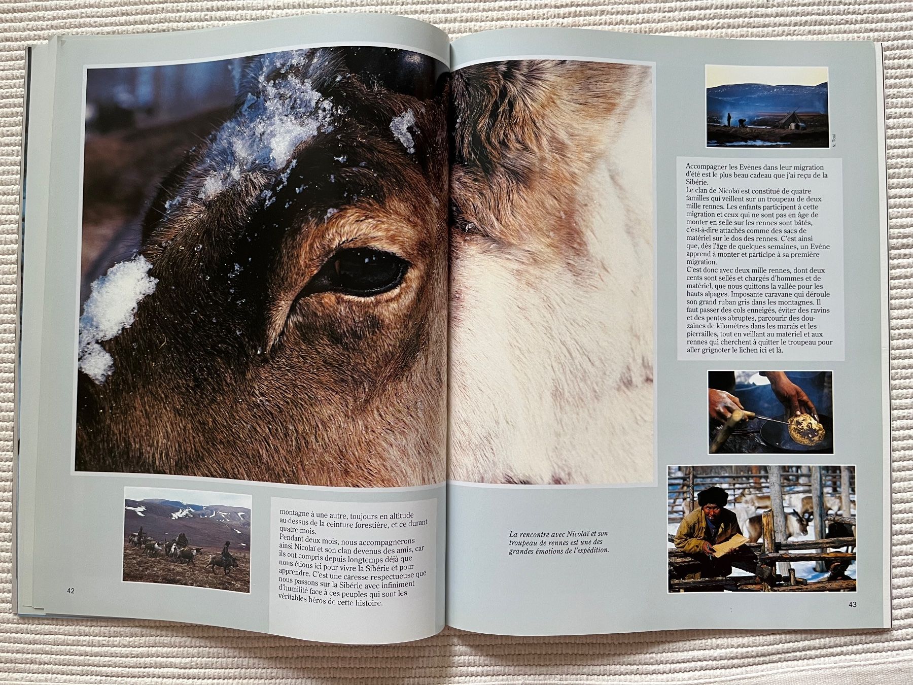 Riviste & Magazine: Animan Nr.36; Sibérie, Hérisson, Vivaldi – Usato da Zürich venduto da Gurkis 5