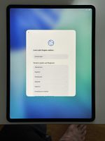 Apple iPad Pro 12.9” (3. Generation) 256 GB Wi-Fi Silber ink