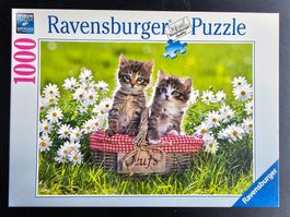 Puzzle Ravensburger 1000 Teile - Kätzchen auf der Wiese