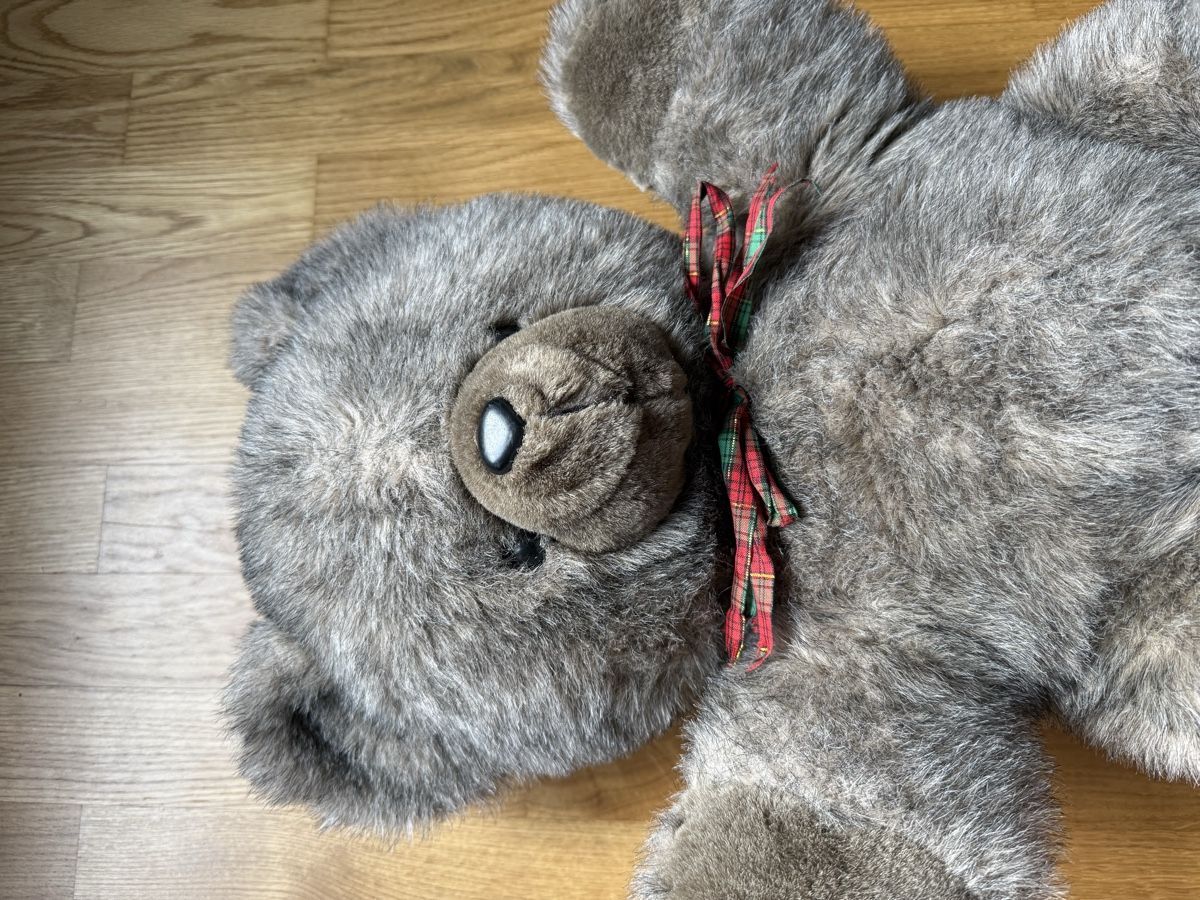 Jouets: Grosser Teddybär – D'occasion à Zürich par Lenath22 1