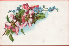 BLUMEN gel. 1906 v. Bülach - Stabstempel HOCHFELDEN