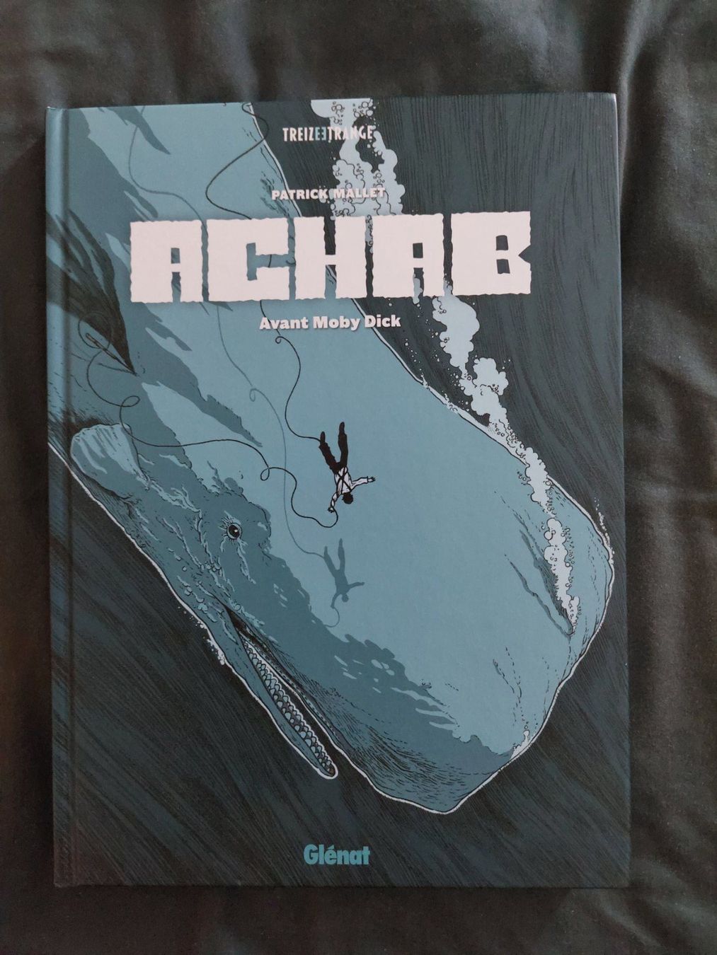 Fumetti: L'Intégrale Achab Avant Moby Dick EO 2025 Neuf – Usato da Genève venduto da Blu_BD