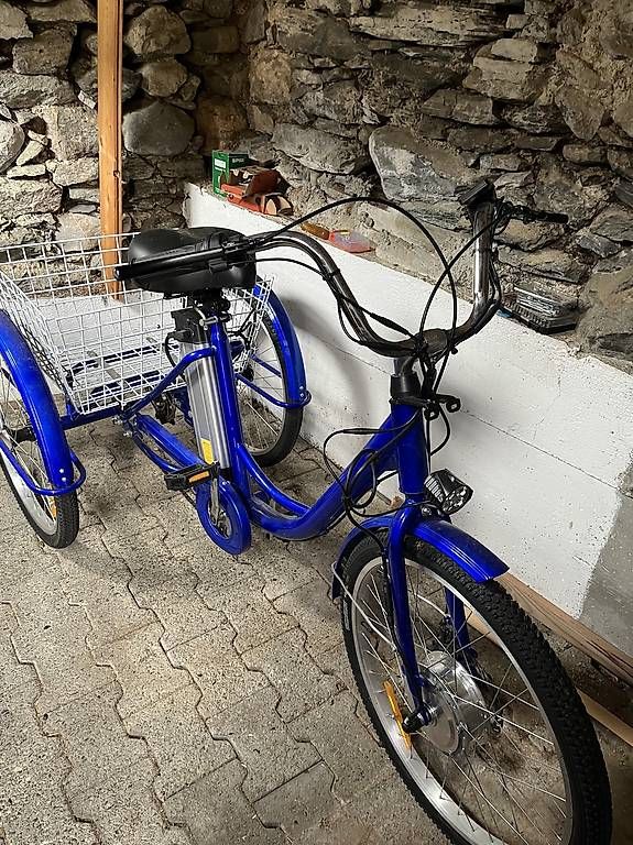 Biciclette: DreiRad E-Bike – Usato da Guttet-Feschel venduto da bab_l77k 1