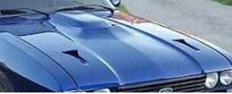Ford Tutti pezzi di ricambio auto: Une bulle de capot – Nuovo (secondo la descrizione) da Russy venduto da Guenefle 2