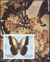 Schmetterling - schöner Tier Motiv Block von Sharjah