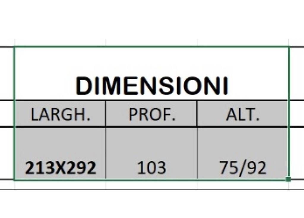 Divani: Divano Natuzzi – Usato da Savosa venduto da gia_z65r 3
