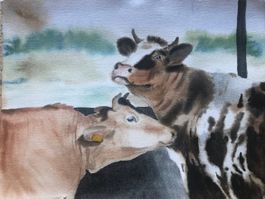 Aquarell Kühe, Handgemaltes Bild, Tierbild, Sommer 2025