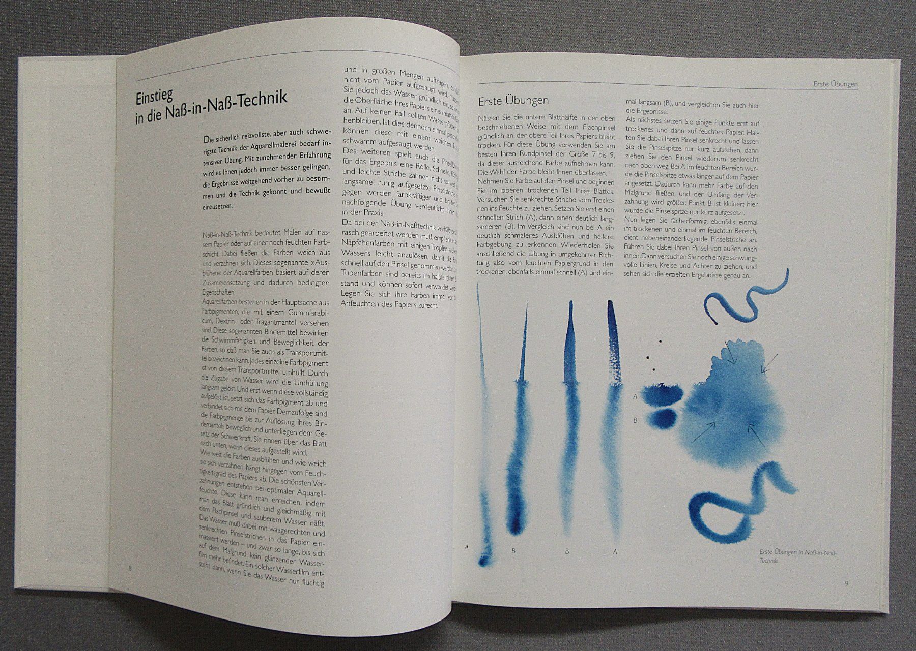 Libri: Nass-in-Nass Techniken • Aquarell Workshop – Usato da Auenstein venduto da Padabimbim 3