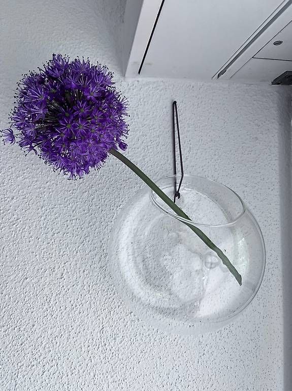 Vasi per fiori: Glas Hängeblumentopf Wantblumentopf – Nuovo (secondo la descrizione) da Carouge GE venduto da Ikle00